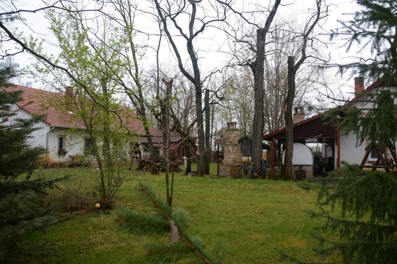 Pusztaszer Nemeth Tanya Vendeghaz 게스트하우스 외부 사진