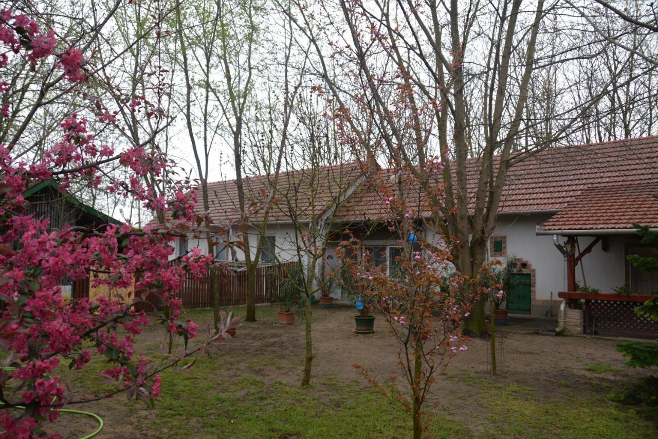 Pusztaszer Nemeth Tanya Vendeghaz 게스트하우스 외부 사진
